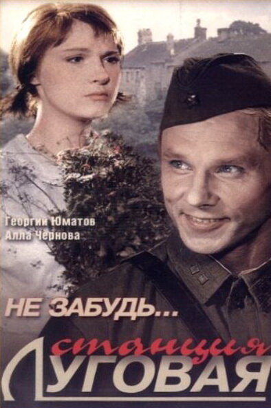 Не забудь... станция Луговая (1966)