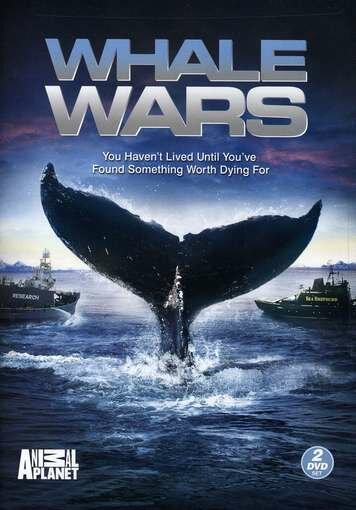 Китовые войны (2008)